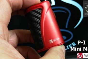 REVUE : P-1 MINI MOD par VAPTIO