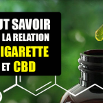 DOSSIER : Tout savoir sur la relation du CBD avec la cigarette électronique.