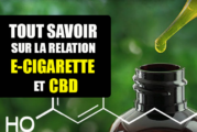 DOSSIER : Tout savoir sur la relation du CBD avec la cigarette électronique.