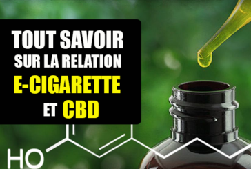 DOSSIER : Tout savoir sur la relation du CBD avec la cigarette électronique.