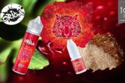 REVUE : Tiger par Origa Vape