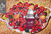 REVUE : Jungle Berry (Gamme Classique) par BordO2