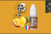 REVUE : Manganas (Gamme Rebel by FP) par Flavour Power