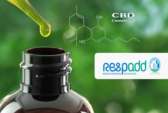 SANTE : Le Respadd donne ses recommandations concernant les e-liquides au CBD.