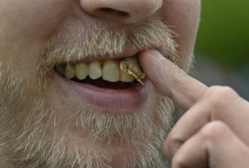 SUISSE : Inquiétude autour du snus, ce fameux tabac à sucer qui séduit !