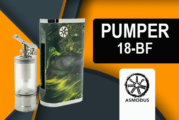 INFO BATCH : Pumper-18 BF (Asmodus)