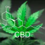 CBD-Cannabis-Training
