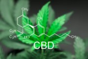 DROIT : Des permis de conduire suspendus à cause du CBD ?