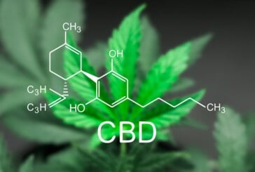 DROIT : Des permis de conduire suspendus à cause du CBD ?
