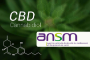 FRANCE : L&rsquo;ANSM veut réguler le marché des e-liquides au CBD !