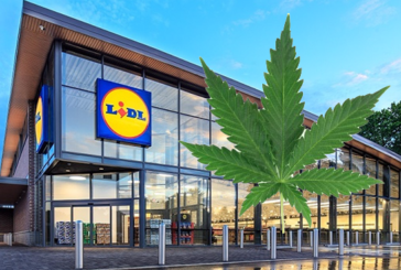 SUISSE : Les magasins LIDL vont bientôt vendre des produits à base de cannabis.