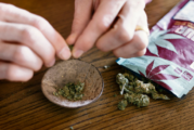 FRANCE : Les buralistes, futur premier réseau de référence du cannabis ?