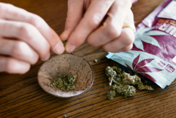 FRANCE : Les buralistes, futur premier réseau de référence du cannabis ?