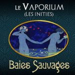 LE-VAPORIUM-Baies-Sauvages