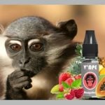 REVUE / TEST : Mangabey (Gamme Grey) par V’APE