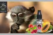 REVUE / TEST : Mangabey (Gamme Grey) par V’APE