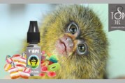 REVUE / TEST : Ouisti Fruity (gamme Grey) par V’APE