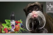 REVUE / TEST : Tamarin (Gamme Grey) par V’APE