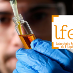 lfel