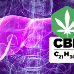 cbd