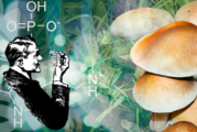 SEVRAGE : Des psychotropes pour lutter contre l&rsquo;addiction au tabac ?