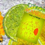 citron_mangue2