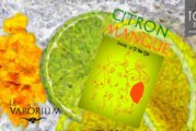 REVUE / TEST : Citron – Mangue (Gamme Haiku) par Le Vaporium