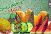 REVUE / TEST : Concombre & Fruits (Gamme Haiku) par Le Vaporium