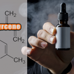 SCIENCE : Le β-myrcène : Bientôt interdit dans les e-liquides ?