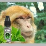 VAPE_GREY_MAGOT_MINT-364x245