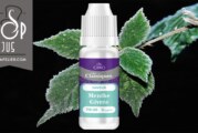 REVUE / TEST : Menthe Givrée (Gamme Les Classiques) par Cirro