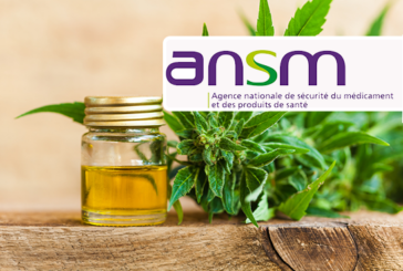 CANNABIDIOL : L&rsquo;ANSM s&rsquo;inquiète des produits vendus sur internet aux épileptiques