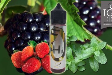 REVUE / TEST : Hi 2 (Gamme Hi) par Vapeflam