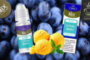 REVUE / TEST : Citron Berry (gamme Les Mix) par Cirro
