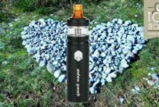 REVUE / TEST : Kit Flint par GeekVape