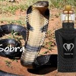 kit-sobra-198w-par-sigelei