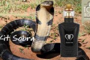 REVUE / TEST : Kit Sobra 198W par Sigelei