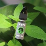 magot-mint