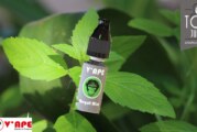 REVUE / TEST : Magot Mint (Gamme Gey) par V’ape