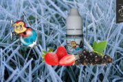 REVUE / TEST : Frozen Ladybug (Gamme Vaping Animals) par Ohmist