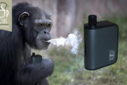 REVUE / TEST : Gusto Mini par Aspire
