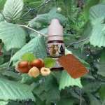 REVUE / TEST : Squirrel’s Surprise (Gamme Vaping Animals) par Ohmist