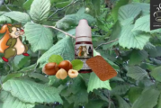 REVUE / TEST : Squirrel’s Surprise (Gamme Vaping Animals) par Ohmist