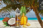 REVUE / TEST : Juicy par Vap’Land-Juice