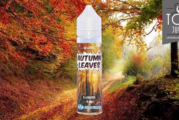 REVUE / TEST : Autumn Leaves (Gamme Se4sons) par High Vaping