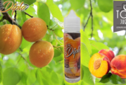 REVUE / TEST : The Diplo par DIPLO