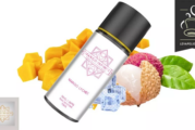 REVUE / TEST : Mango Lychee par Mango Infinite