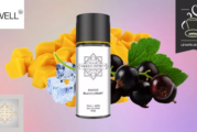 REVUE / TEST : MANGO BLACKCURRANT par Mango Infinite
