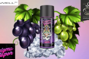 REVUE / TEST : Ark par Enigma Vapor
