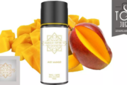 REVUE / TEST : Just Mango par Mango Infinite